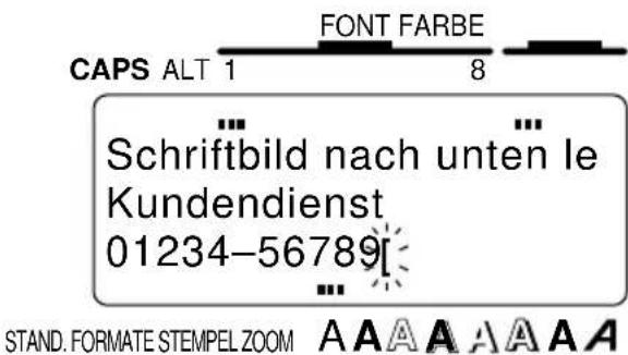 CAPS ALT 1 FONT FARBE 8 ... Schriftbild nach unten le Kundendienst 01234-56789[. STAND. FORMATE STEMPEL ZOOM A A A A A A A A