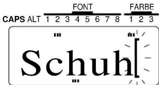 CAPS ALT FONT FARBE Schuh