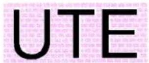 UTE