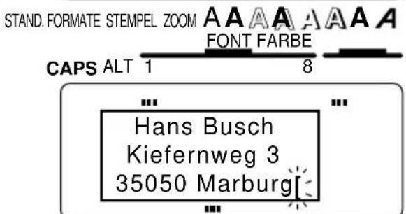 STAND. FORMATE STEMPEL ZOOM A A A A A A A FONT FARBE CAPS ALT 1 8 Hans Busch Kiefernweg 3 35050 Marburg