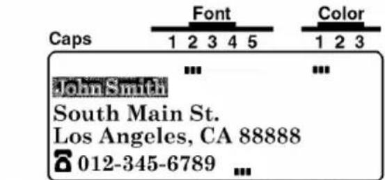 Caps Font Color 1 2 3 4 5 1 2 3 ... John Smith South Main St. Los Angeles, CA 88888 012-345-6789 ...