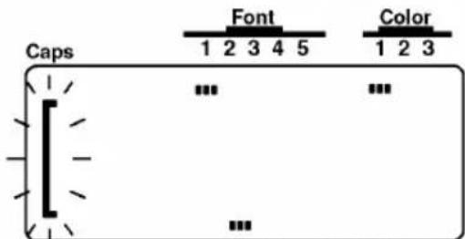 Caps Font Color 1 2 3 4 5 1 2 3