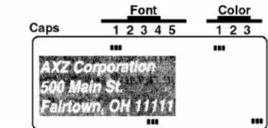 Capts Font Color 1 2 3 4 5 1 2 3 ... ... AXZ Corporation 500 Main St. Fairtown. OH 11111