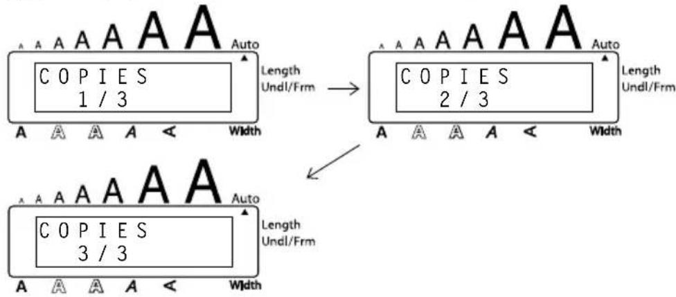 ▲ A A A A A ▲ A A A A A Length Undl/Frm A A A A < Width ▲ A A A A A ▲ A A A A A A A A < Width ▲ A A A A A ▲ A A A A A A A A < Width Length Undl/Frm ▲ A A A A ▲ A A A A A A A A < Width