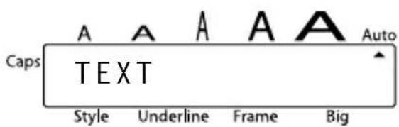 Caps A A A A A Auto TEXT Style Underline Frame Big