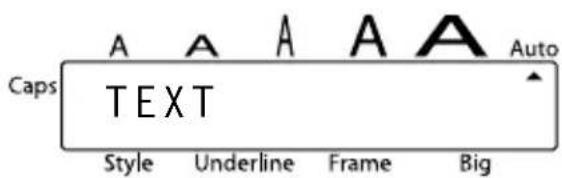 Caps A A A A A Auto TEXT Style Underline Frame Big