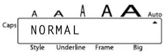 Caps A A A A A Auto NORMAL Style Underline Frame Big
