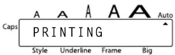 Caps A A A A A Auto PRINTING Style Underline Frame Big