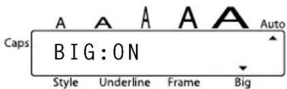 Caps A A A A A Auto BIG:ON Style Underline Frame Big