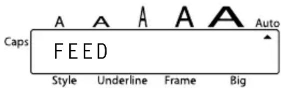 Caps FEED Style Underline Frame Big Auto