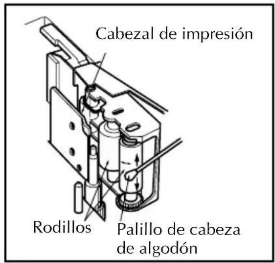 Cabezal de impresión Rodillos Palillo de cabeza de algodón