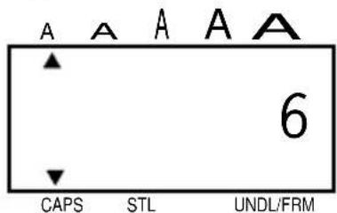 A A A A A 6 CAPS STL UNDL/FRM