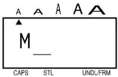 A A A A A M CAPS STL UNDL/FRM