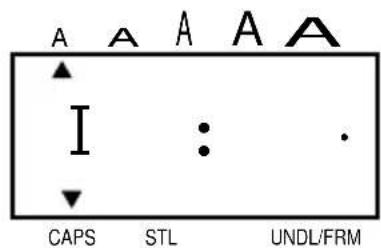 A A A A A I : . CAPS STL UNDL/FRM
