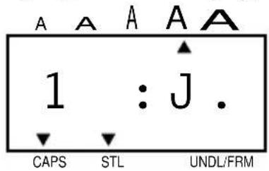 A A A A A 1 : J . CAPS STL UNDL/FRM