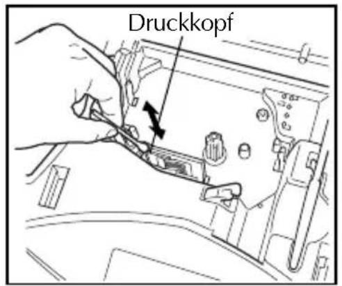 Druckkopf