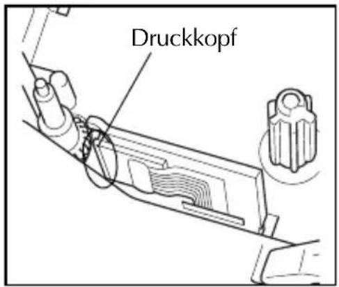 Druckkopf