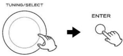 TUNING/SELECT ENTER