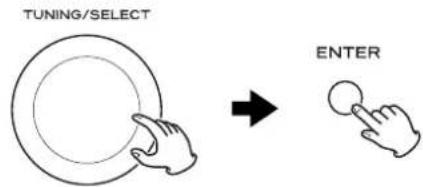 TUNING/SELECT ENTER