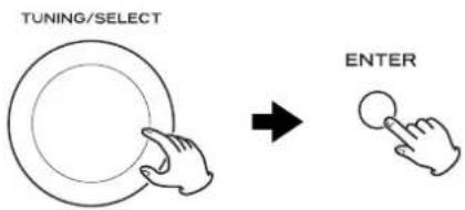 TUNING/SELECT ENTER