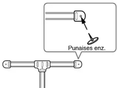 Punaises enz.