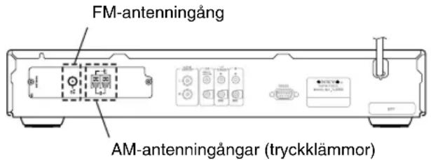 FM-antennaingång AM-antennaingångar (tryckklämmor)