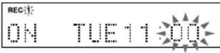 REC ON TUE 11:00