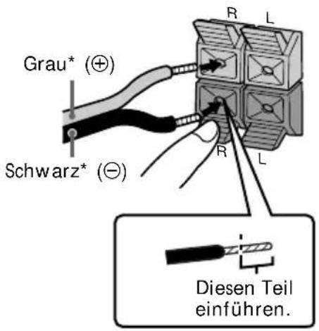 Grau* (⊕) Schwarz* (⊖) R L R L Diesen Teil einführen.