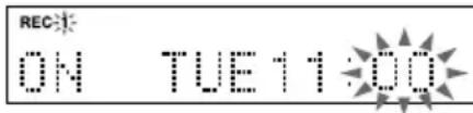 REC: ON TUE 11:00