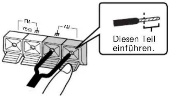 FM 75Ω AM Diesen Teil einführen.