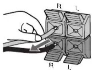 R L R L