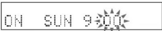 SONY DHC-EX880MD - — Weck-Timer - 2