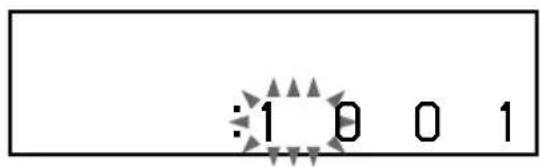 :1 0 0 1