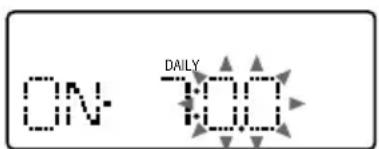 ON- DAILY 300