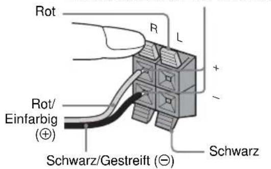 Rot R L + - Rot/ Einfarbig (⊕) Schwarz/Gestreift (⊖) Schwarz