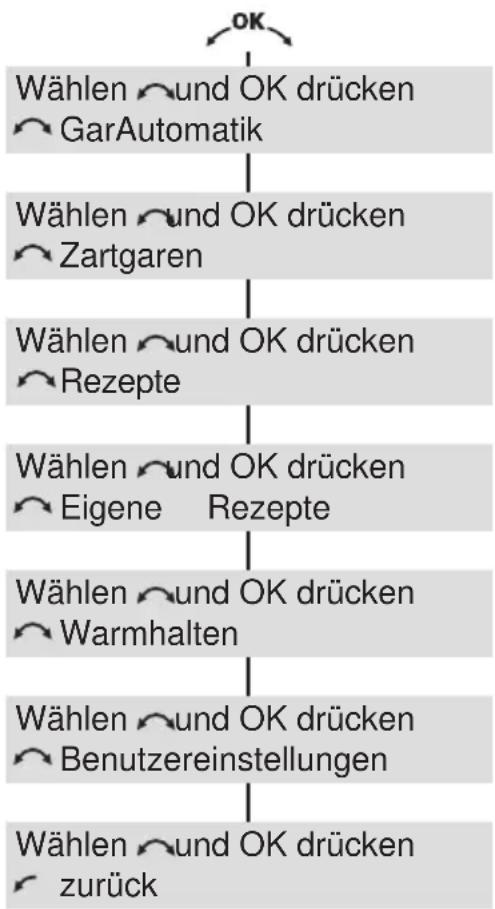 V-ZUG Microbraun SL - Bedienung über die Klartextanzeige - 2