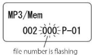 MP3/Mem 002-000-P-01 file number is flashing
