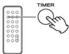 TIMER