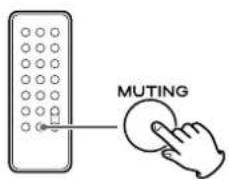MUTING