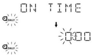 ON TIME ↓ DAILY DAILY