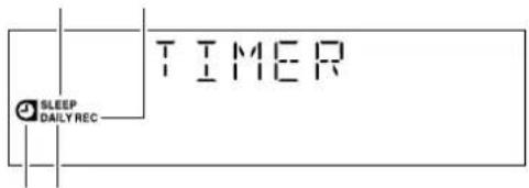 SLEEP DAILY REC TIMER