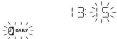 13:55 DAILY