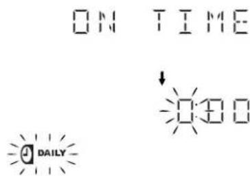 ON TIME ↓ DAILY