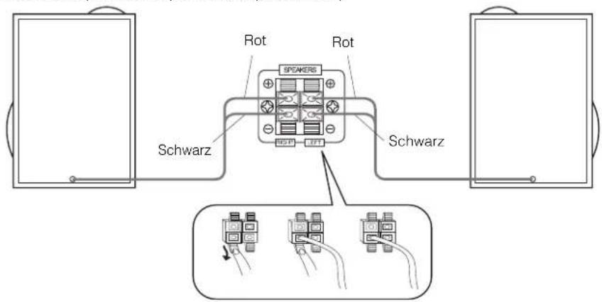 Rot ROT SPEKERS Schwarz Schwarz