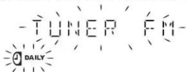 -TUNER FM- DAILY