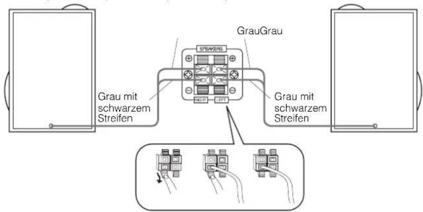 Grau mit schwarzem Streifen GrauGrau STEAKERS Grau mit schwarzem Streifen
