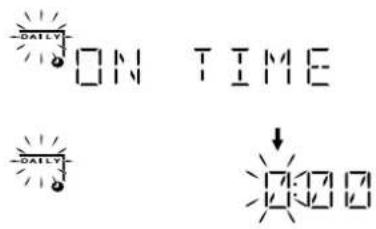 -DAILY ON TIME -DAILY ↓ 2000