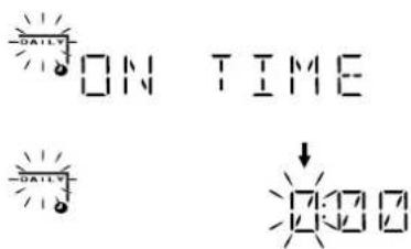 -DAILY ON TIME -DAILY 0:00
