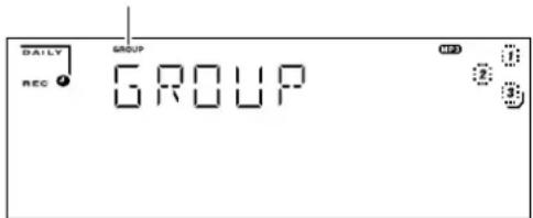 DAILY REC ④ GROUP GROUP