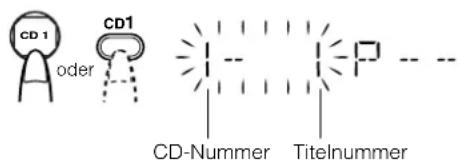 CD1 oder CD1 CD-Nummer Titelnummer
